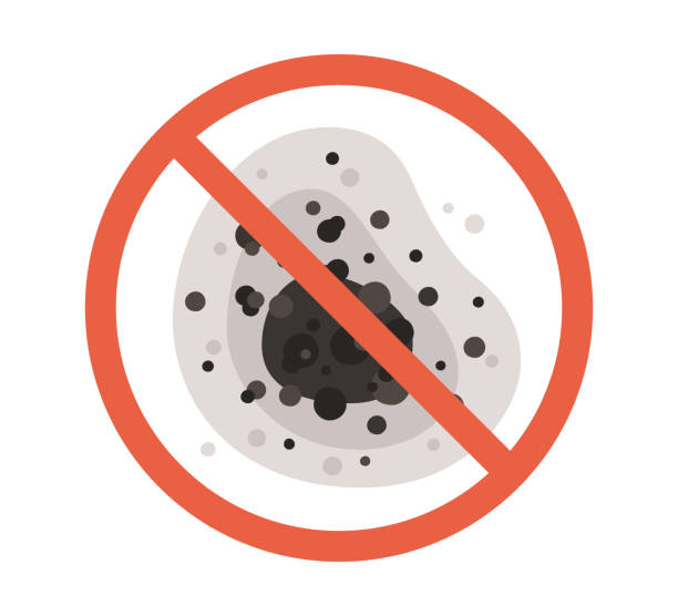 Best Comprehensive Air Testing for Mold Contaminants  in Duarte, CA