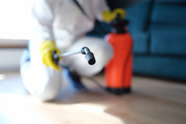 Best Residential Mold Inspection & Testing  in Duarte, CA
